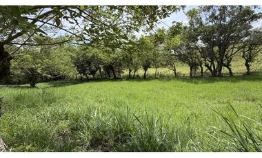 VENTA DE FINCA EN MONTENEGRO, QUINDO, COLOMBIA
