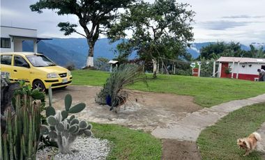 Venta De Finca En San Jose, Santa Barbara