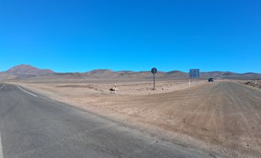 OPORTUNIDAD A 15 MIN DE VALLENAR 100 HECTAREAS