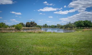 VENTA CHACRA ESTANCIA BENQUERENCIA S. M DEL MONTE