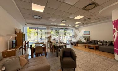 VENDE LOCAL COMERCIAL 216.48 M2, CENTRO PLOTTIER