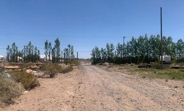 LOTE EN ALQUILER EN EL PIN DE NEUQUÉN