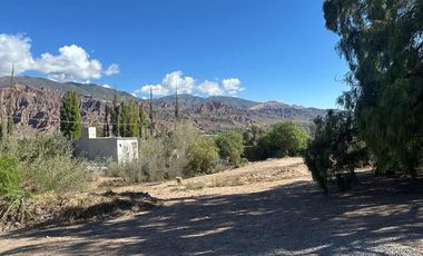 VENTA TERRENO 446 m² - TILCARA