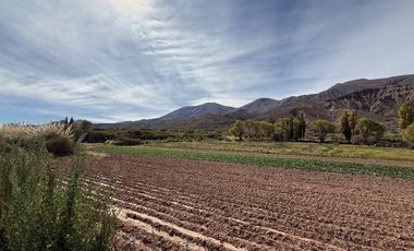 VENTA 2 HECTÁREAS  DE 20.414 m²  - HUACALERA
