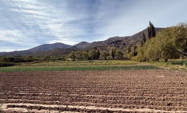 VENTA 2 HECTÁREAS  DE 20.414 m²  - HUACALERA