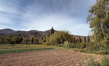 VENTA 2 HECTÁREAS  DE 20.414 m²  - HUACALERA