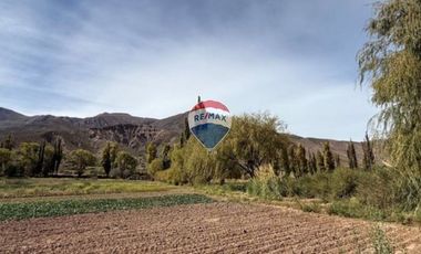 VENTA 2 HECTÁREAS  DE 20.414 m²  - HUACALERA