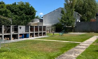 Departamento en alquiler en Tigre Centro