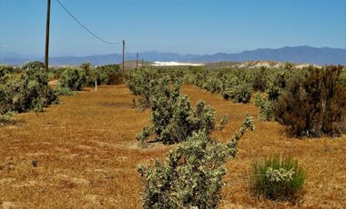 MARAVILLOSAS PARCELAS EN LOMAS DEL TANGUE