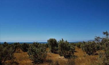 MARAVILLOSAS PARCELAS EN LOMAS DEL TANGUE