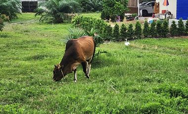 3 Bedroom House for sale in Ao Nang, Krabi