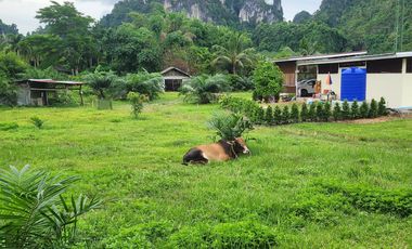 3 Bedroom House for sale in Ao Nang, Krabi