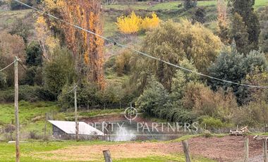Espectacular Campo productivo de cerezos