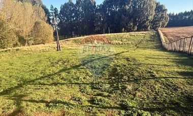 PARCELA AGRÍCOLA EN OSORNO - RUTA U-720