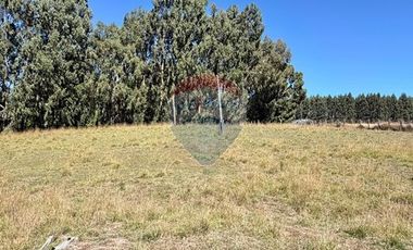 PARCELA AGRÍCOLA EN OSORNO - RUTA U-720