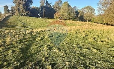 PARCELA AGRÍCOLA EN OSORNO - RUTA U-720