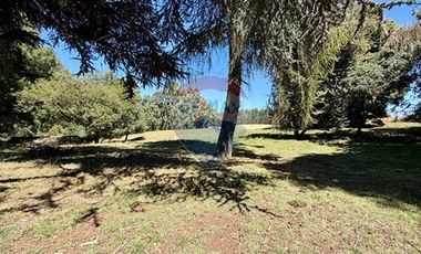 PARCELA AGRÍCOLA EN OSORNO - RUTA U-720