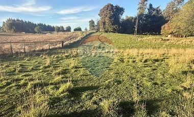 PARCELA AGRÍCOLA EN OSORNO - RUTA U-720