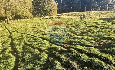 PARCELA AGRÍCOLA EN OSORNO - RUTA U-720