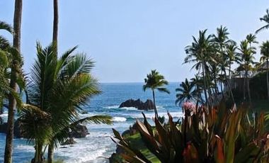 Departamento en Manzanillo (Vida del Mar)