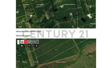 Terreno 499.8 Ha en Pucallpa | Agroindustria y Desarrollo