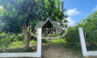 CASA CAMPESTRE EN  ARRIENDO Y VENTA  VIA AGUAS NEGRAS |9514