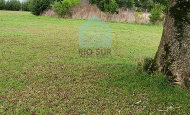 PARCELA 0,5 HA RIO BUENO