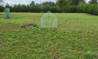 PARCELA 0,5 HA RIO BUENO