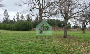 PARCELA 0,5 HA RIO BUENO