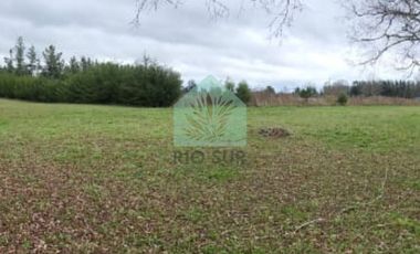 PARCELA 0,5 HA RIO BUENO