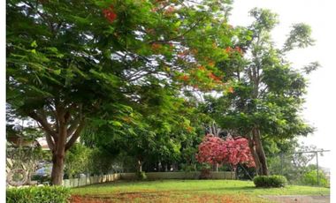 VENTA CASA EN CERRO VIENTO