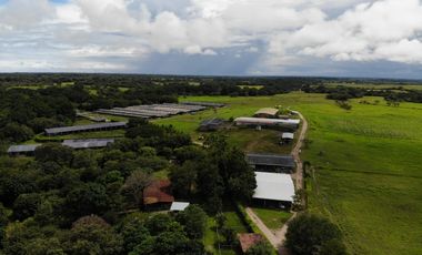 SE VENDE FINCA EN ANTON  CON AREA DE PRODUCCION Y CABALLERIZAS