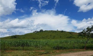SE VENDE FINCA EN ANTON  CON AREA DE PRODUCCION Y CABALLERIZAS
