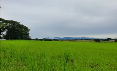 SE VENDE FINCA EN ANTON  CON AREA DE PRODUCCION Y CABALLERIZAS