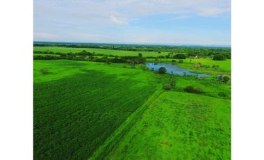 SE VENDE FINCA EN ANTON  CON AREA DE PRODUCCION Y CABALLERIZAS