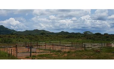 SE VENDE FINCA EN ANTON  CON AREA DE PRODUCCION Y CABALLERIZAS