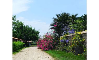SE VENDE FINCA EN ANTON  CON AREA DE PRODUCCION Y CABALLERIZAS