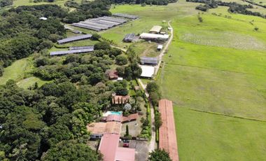 SE VENDE FINCA EN ANTON  CON AREA DE PRODUCCION Y CABALLERIZAS