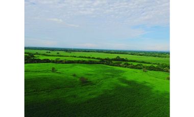 SE VENDE FINCA EN ANTON  CON AREA DE PRODUCCION Y CABALLERIZAS