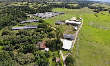 SE VENDE FINCA EN ANTON  CON AREA DE PRODUCCION Y CABALLERIZAS