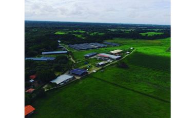 SE VENDE FINCA EN ANTON  CON AREA DE PRODUCCION Y CABALLERIZAS