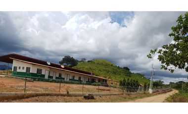 SE VENDE FINCA EN ANTON  CON AREA DE PRODUCCION Y CABALLERIZAS