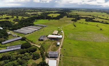 SE VENDE FINCA EN ANTON  CON AREA DE PRODUCCION Y CABALLERIZAS