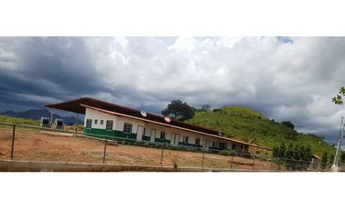 SE VENDE FINCA EN ANTON  CON AREA DE PRODUCCION Y CABALLERIZAS