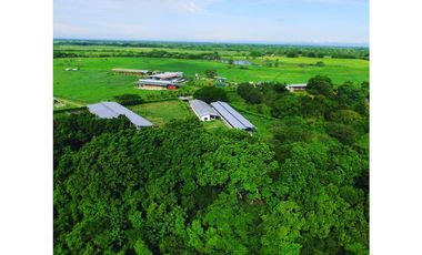 SE VENDE FINCA EN ANTON  CON AREA DE PRODUCCION Y CABALLERIZAS