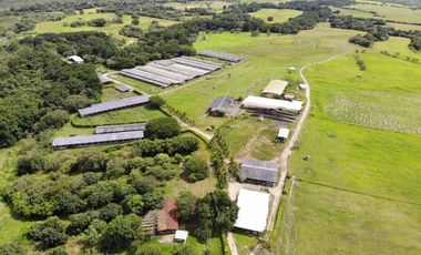 SE VENDE FINCA EN ANTON  CON AREA DE PRODUCCION Y CABALLERIZAS