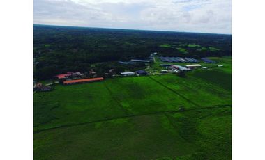 SE VENDE FINCA EN ANTON  CON AREA DE PRODUCCION Y CABALLERIZAS
