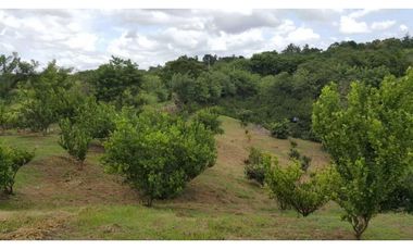 VENTA DE LOTE RO GRANDE PENONOMÉ