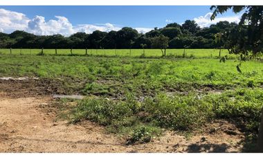 VENTA DE LOTE RO GRANDE PENONOMÉ