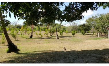VENTA DE LOTE RO GRANDE PENONOMÉ